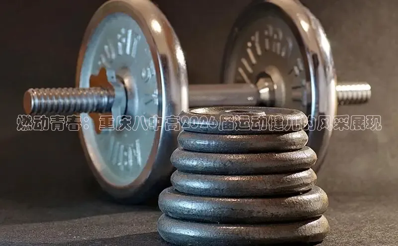 必一运动bsports官网